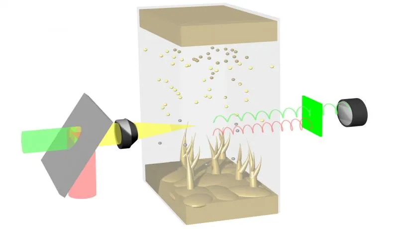 SRS microscopy of Li dendrite growth and Li ion migration